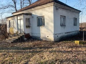 Lipe, Smederevo